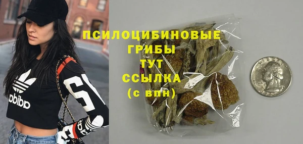 гидра Богданович