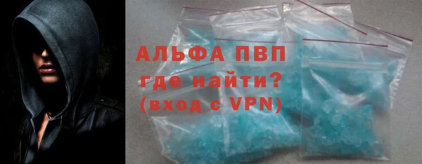 гидра Богданович