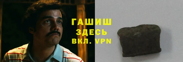 гидра Богданович