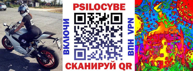 KRAKEN зеркало  где купить наркотик  Барабинск  Галлюциногенные грибы GOLDEN TEACHER 